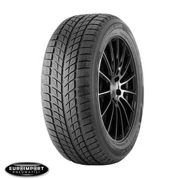 Double star Winterking dw09  225/45 R18 95 T  XL  TL